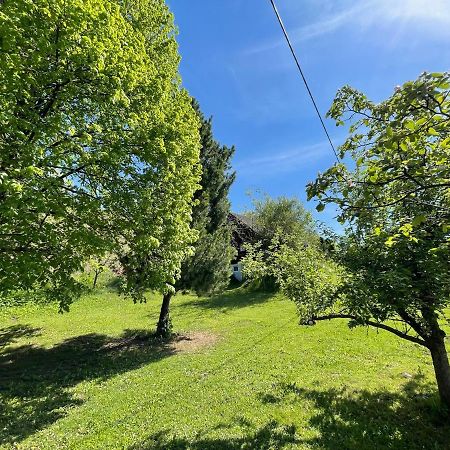 Ferienhuette Bosic Villa Baierdorf Dış mekan fotoğraf
