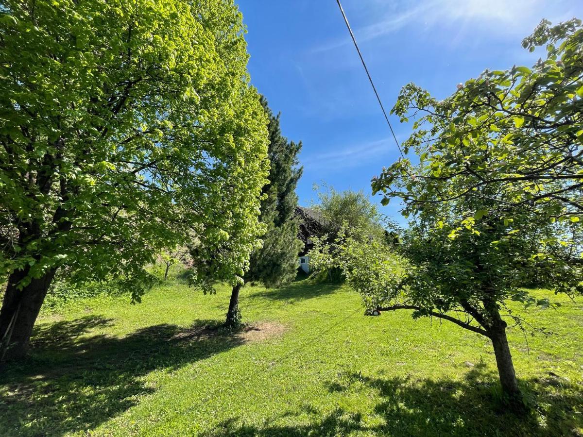 Ferienhuette Bosic Villa Baierdorf Dış mekan fotoğraf